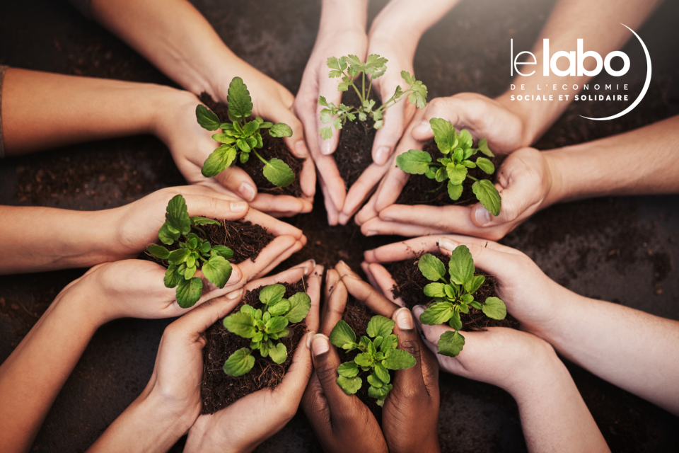 Design sans titre (59).png